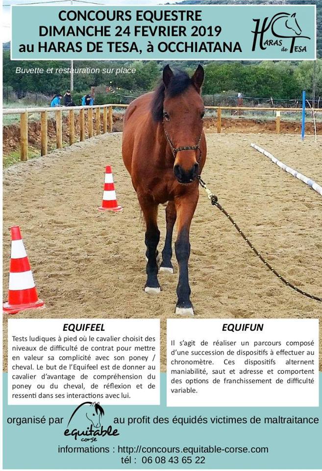 Concours d'équifeel et d'équifun le 24 février au Haras de Tesa