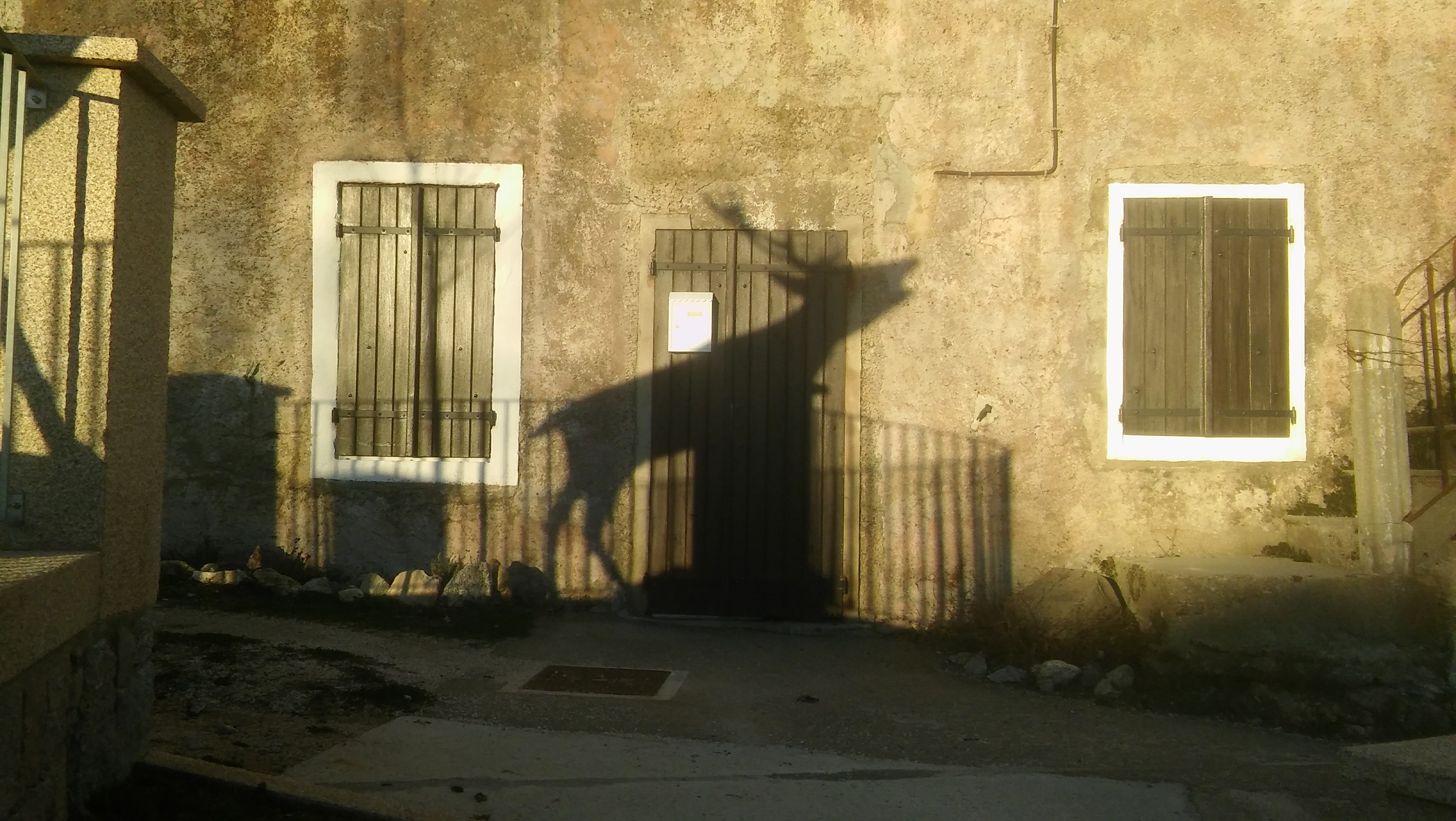 Quenza : Le brame du cerf au Soleil couchant