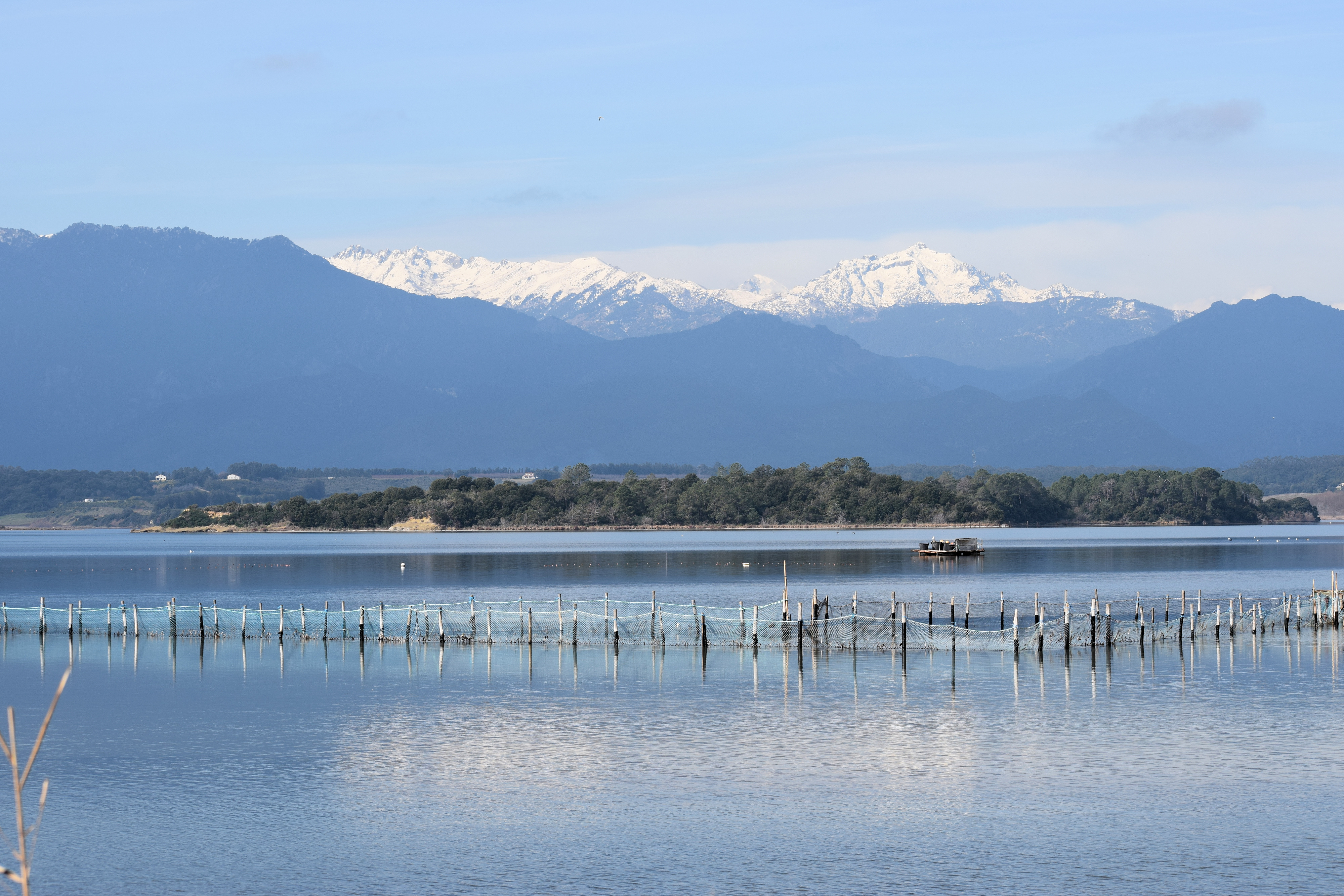 La photo du jour : l'étang d'Urbino et le Monte d'Oro capturés au petit matin