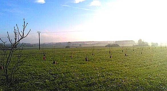 Fraudes agricoles en Corse : L'office européen antifraude recommande de récupérer 536 500 euros