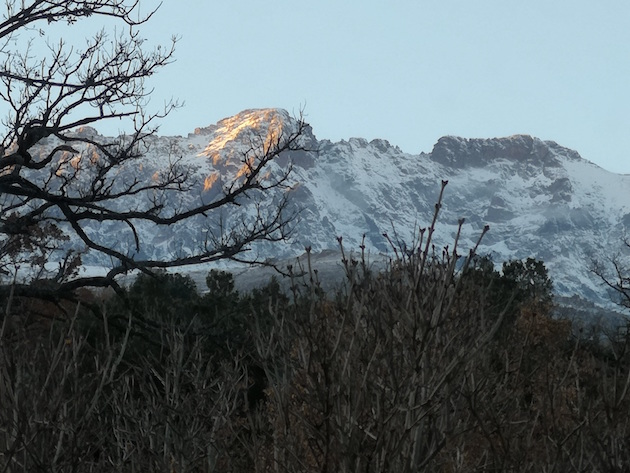 La photo du jour : Le Monte Cintu vu de Sidossi
