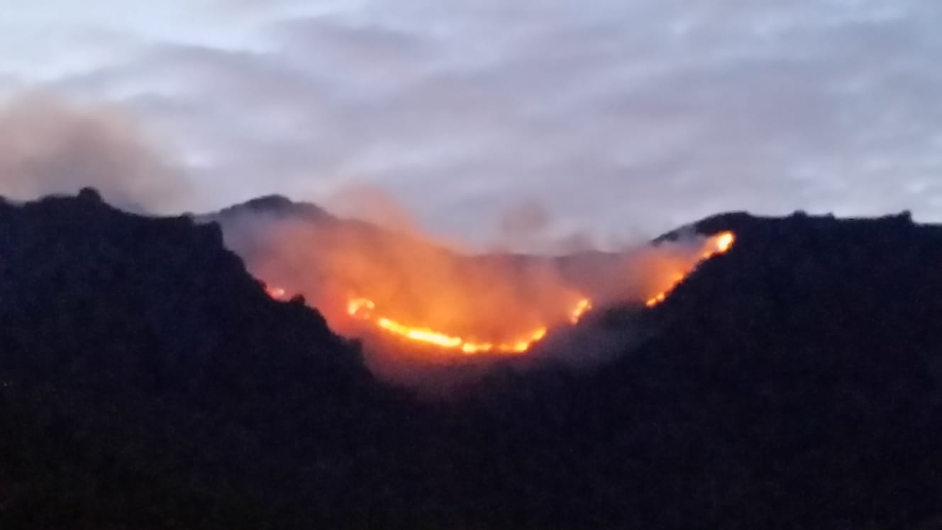 Le feu de Sicu (65 hectares) a atteint dimanche soir la commune de Brandu (Photo M.-T. Valery)