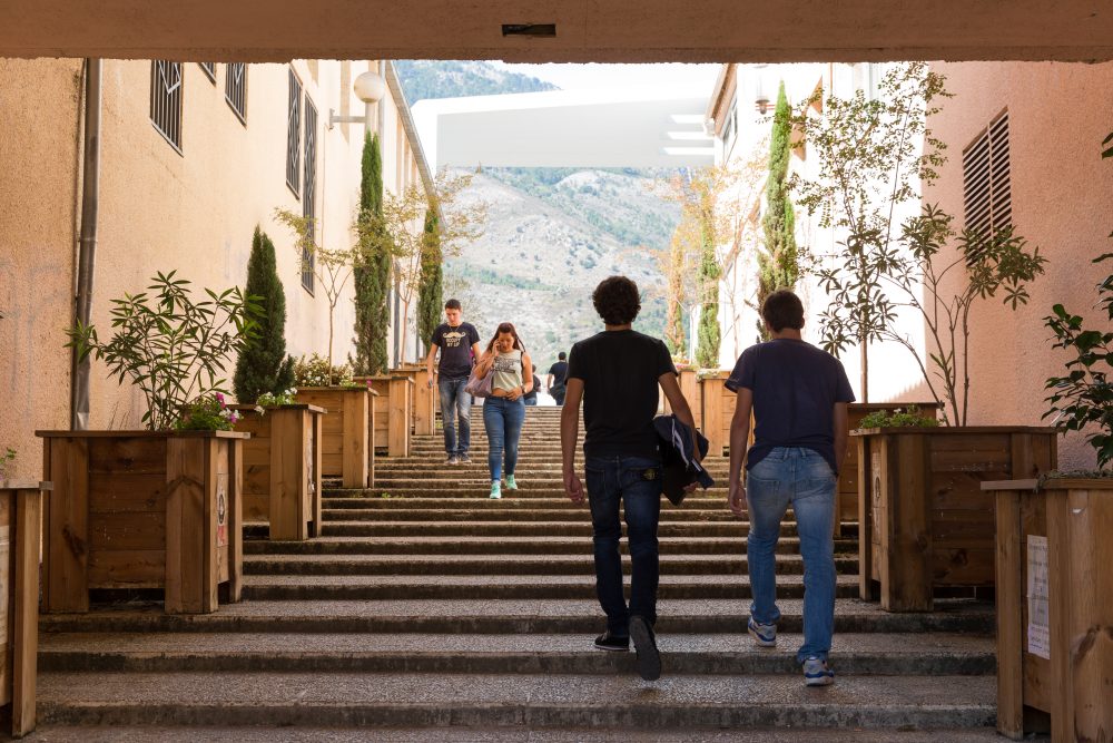 Corte : A Ghjuventù Verde expose au Campus Mariani ce 2 avril