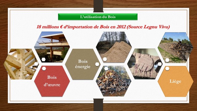 Pioggiola  : Un plan de dynamisation de la filière bois de Corse