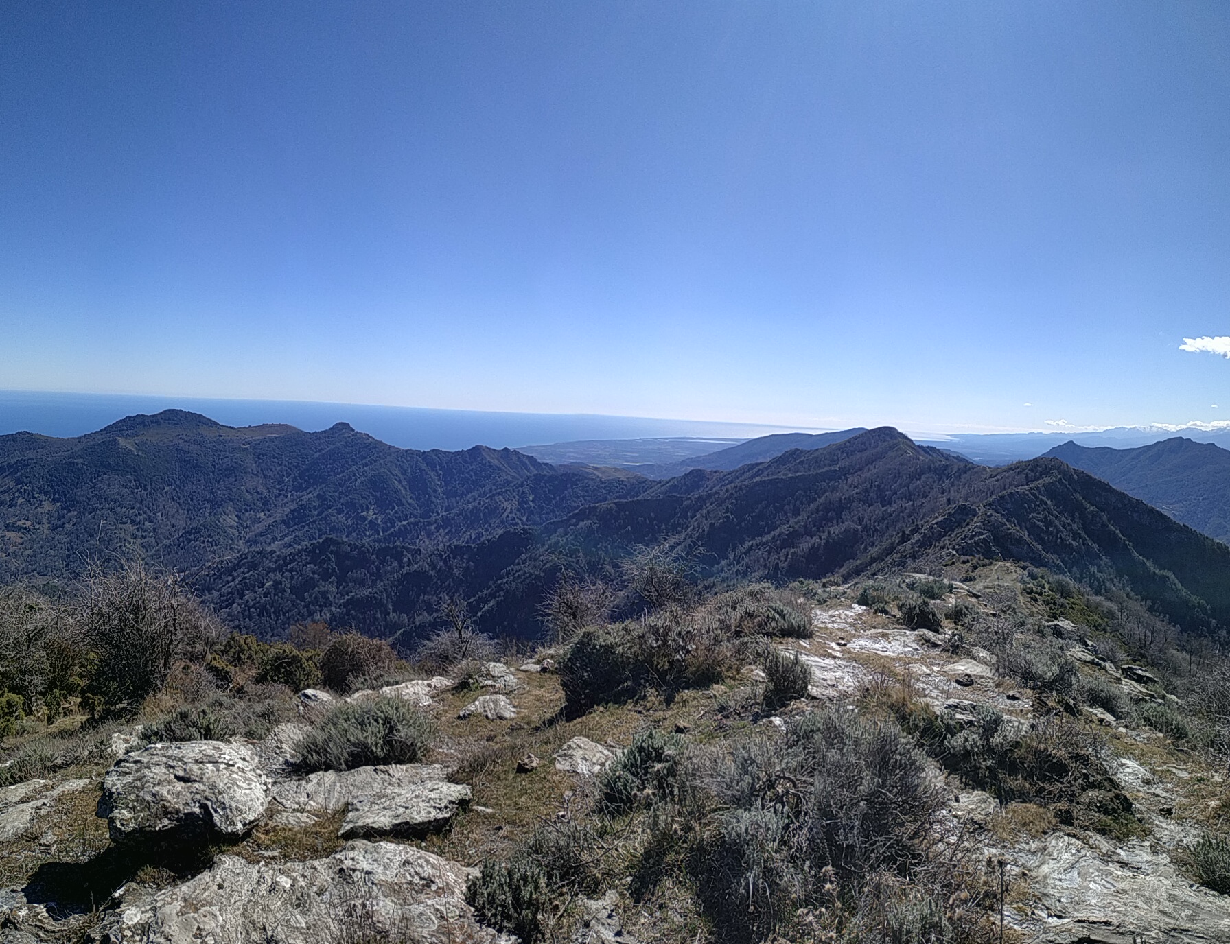 La photo du jour : Sur le Monte Olmelli