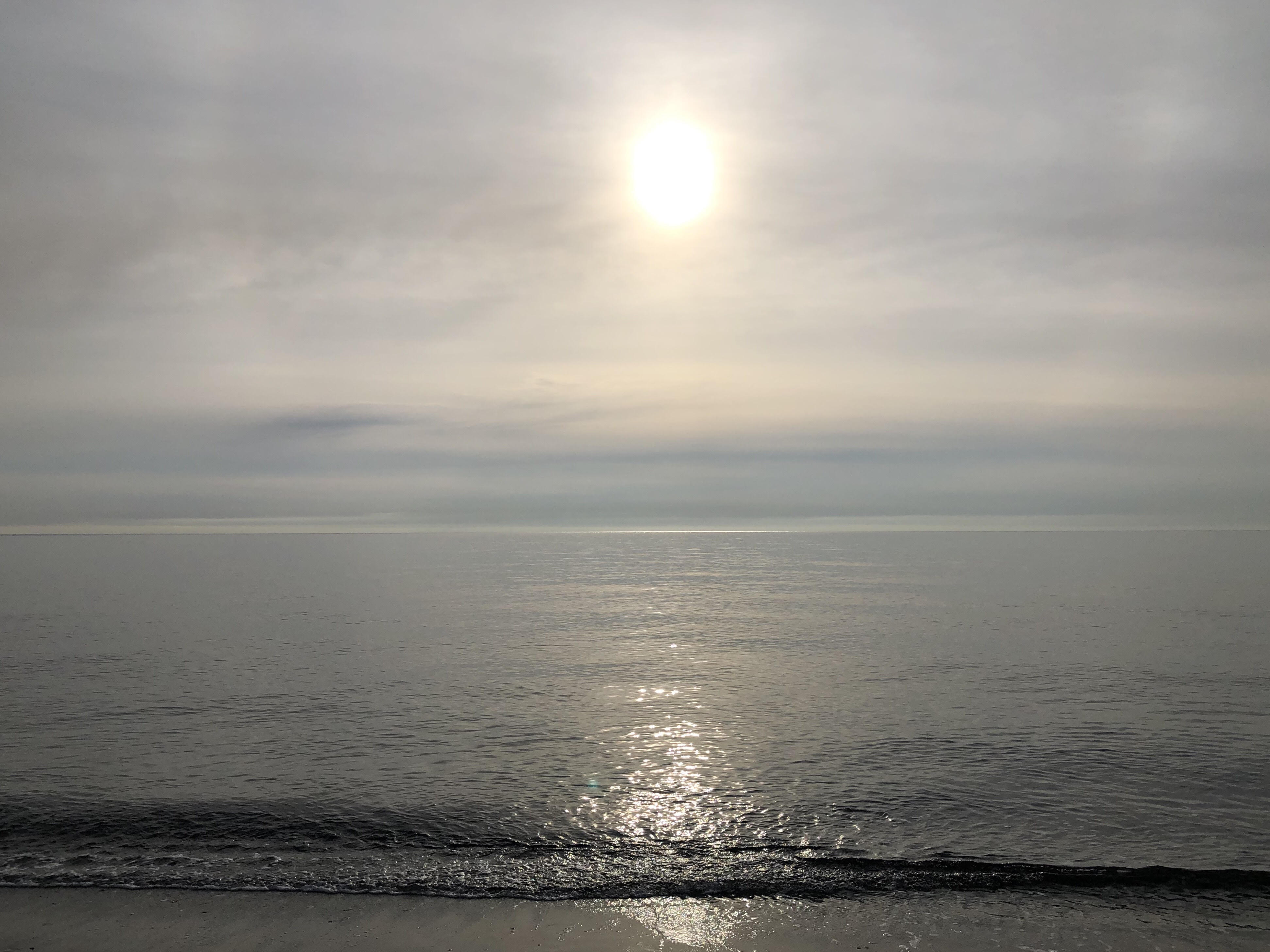 Photo Marie-Dominique Baccelli