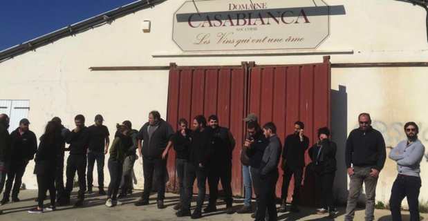 Domaine de Casabianca : Des jeunes agriculteurs dénoncent une main basse sur des parcelles