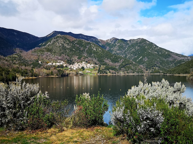 Photo Françoise Geronimi