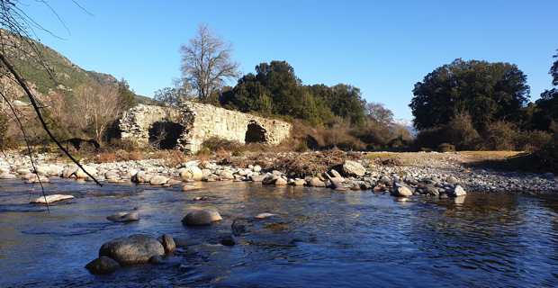Près du site à l'étude...