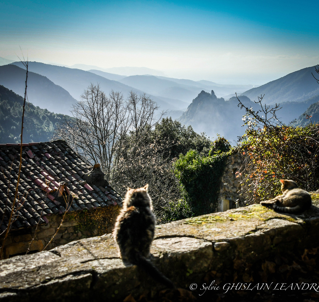 photo  sylvie ghislain leandri