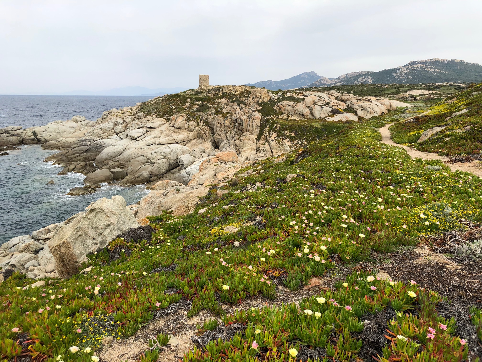 La photo du jour : Punta di Spanu