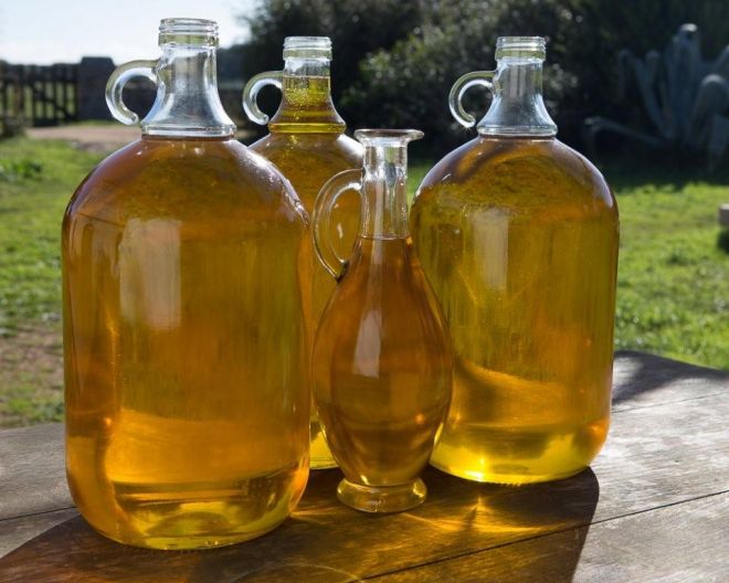 Oliu di Corsica investit "Art'è Gustu" les 27 et 28 avril à Aléria