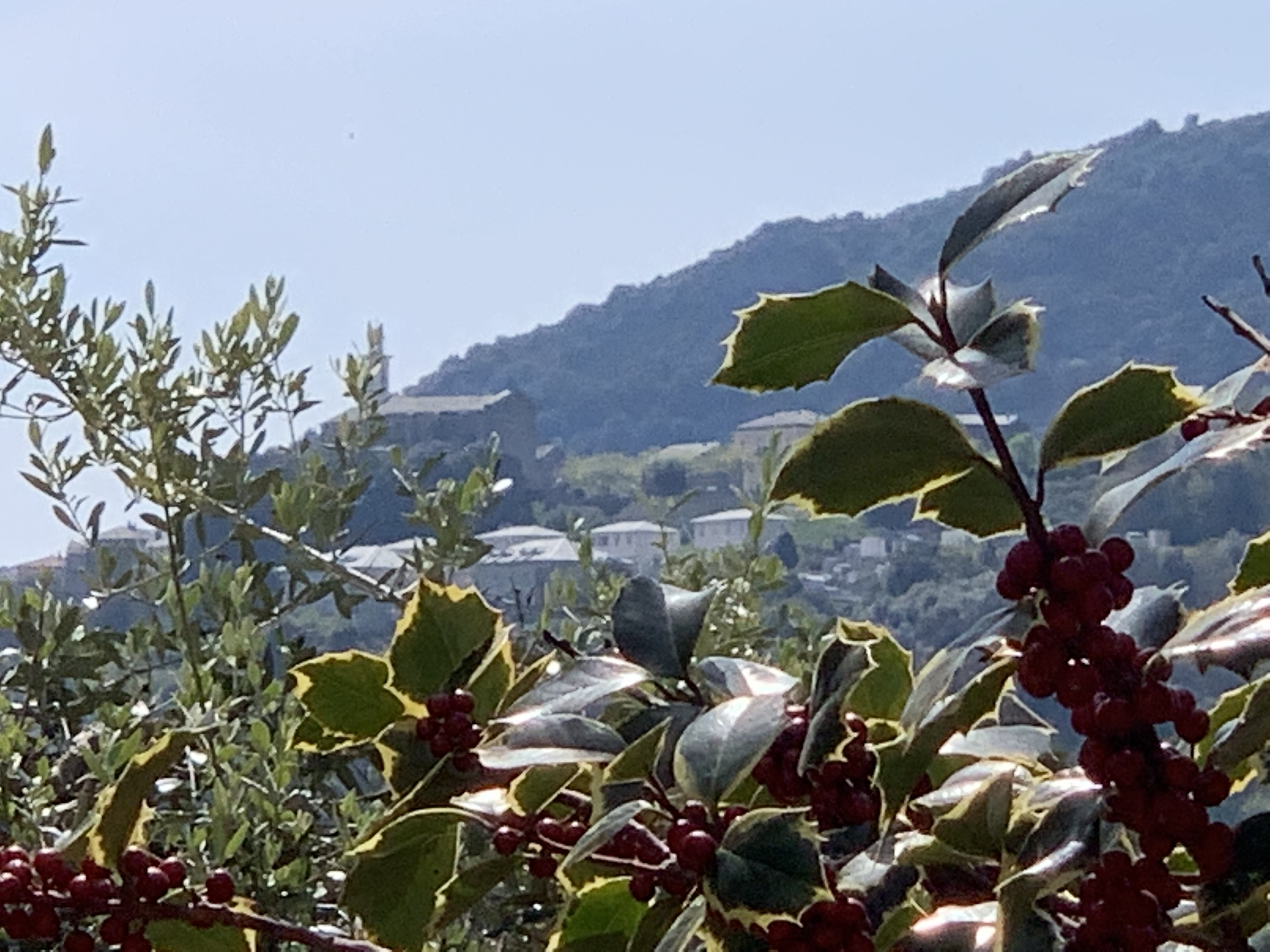 La météo du Jeudi 2 Mai en Corse