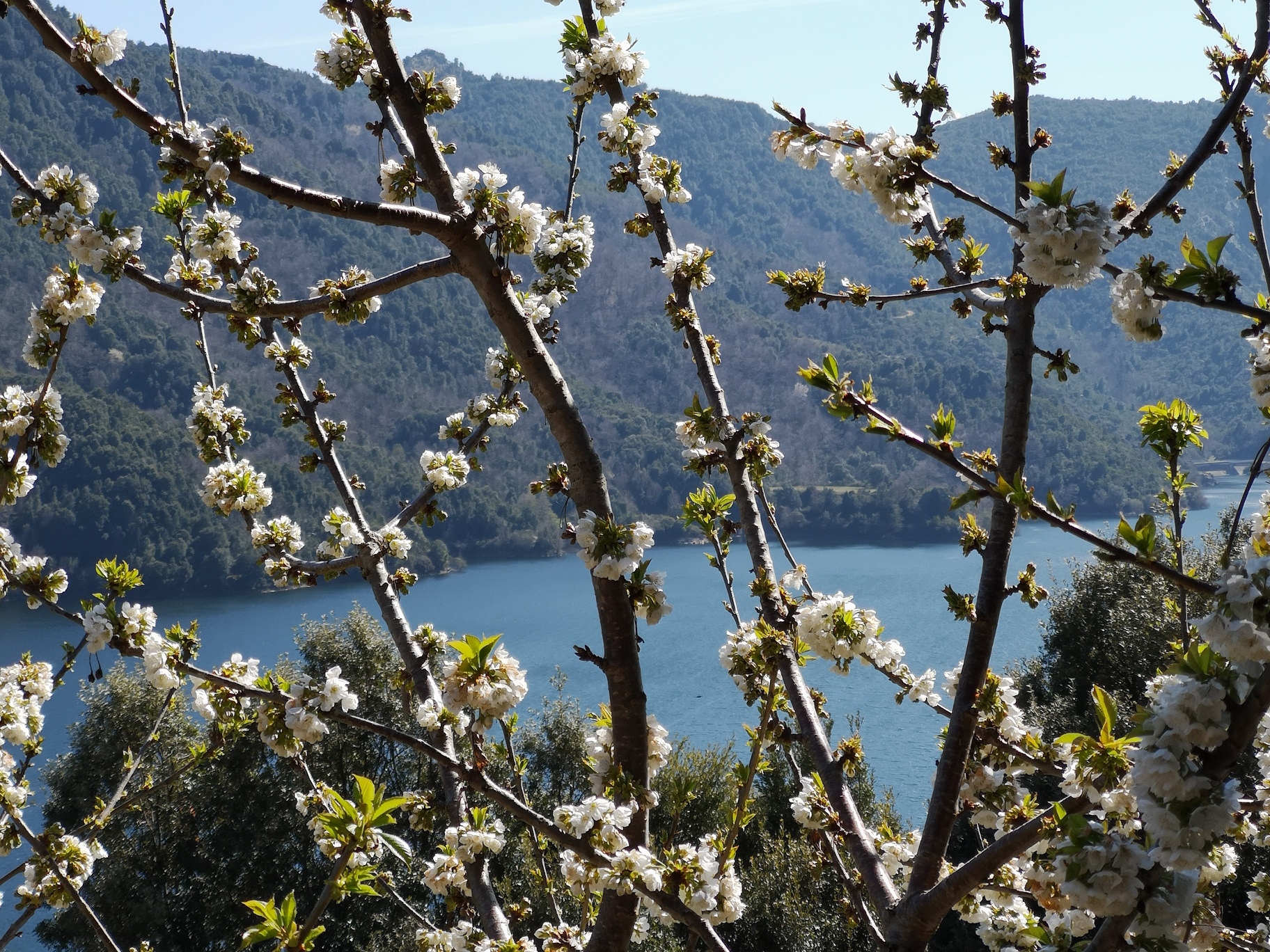 Photo Françoise Geronimi