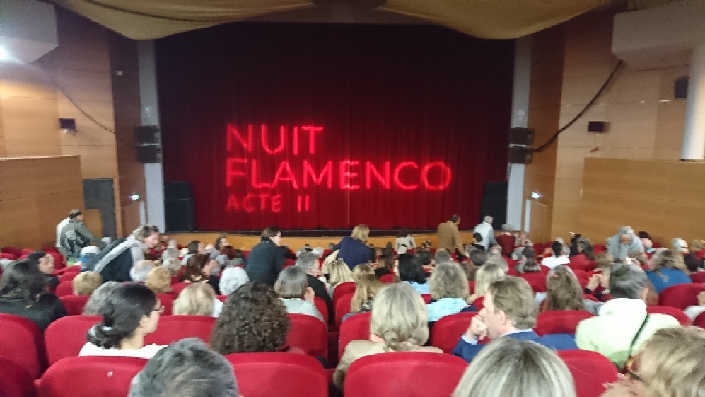 Nouveau succès pour la semaine de la danse à Porto-Vecchio