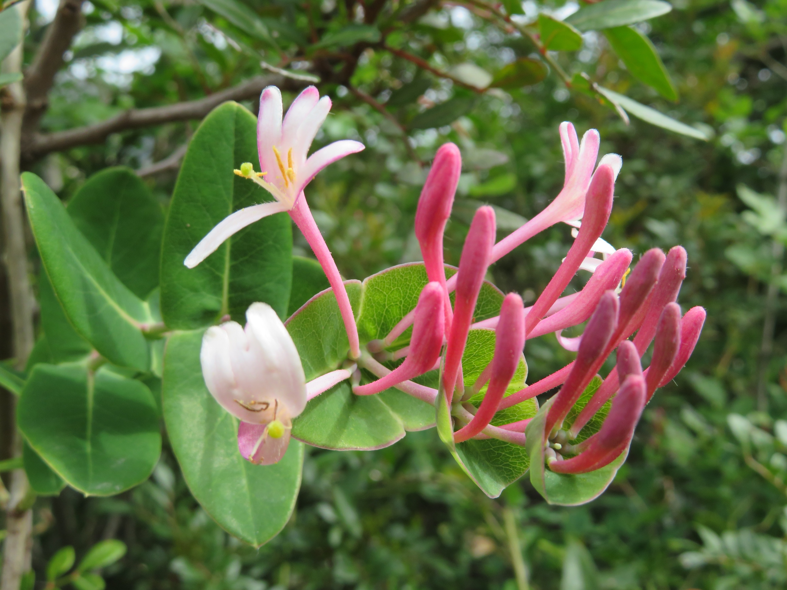 Photo Françoise Geronimi