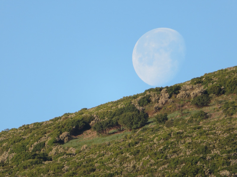 Photo Françoise Geronimi