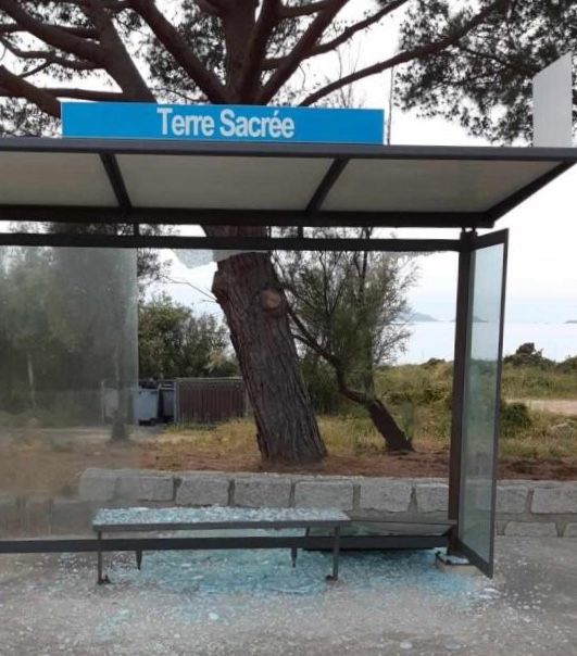  9 abris bus vandalisés à Ajaccio