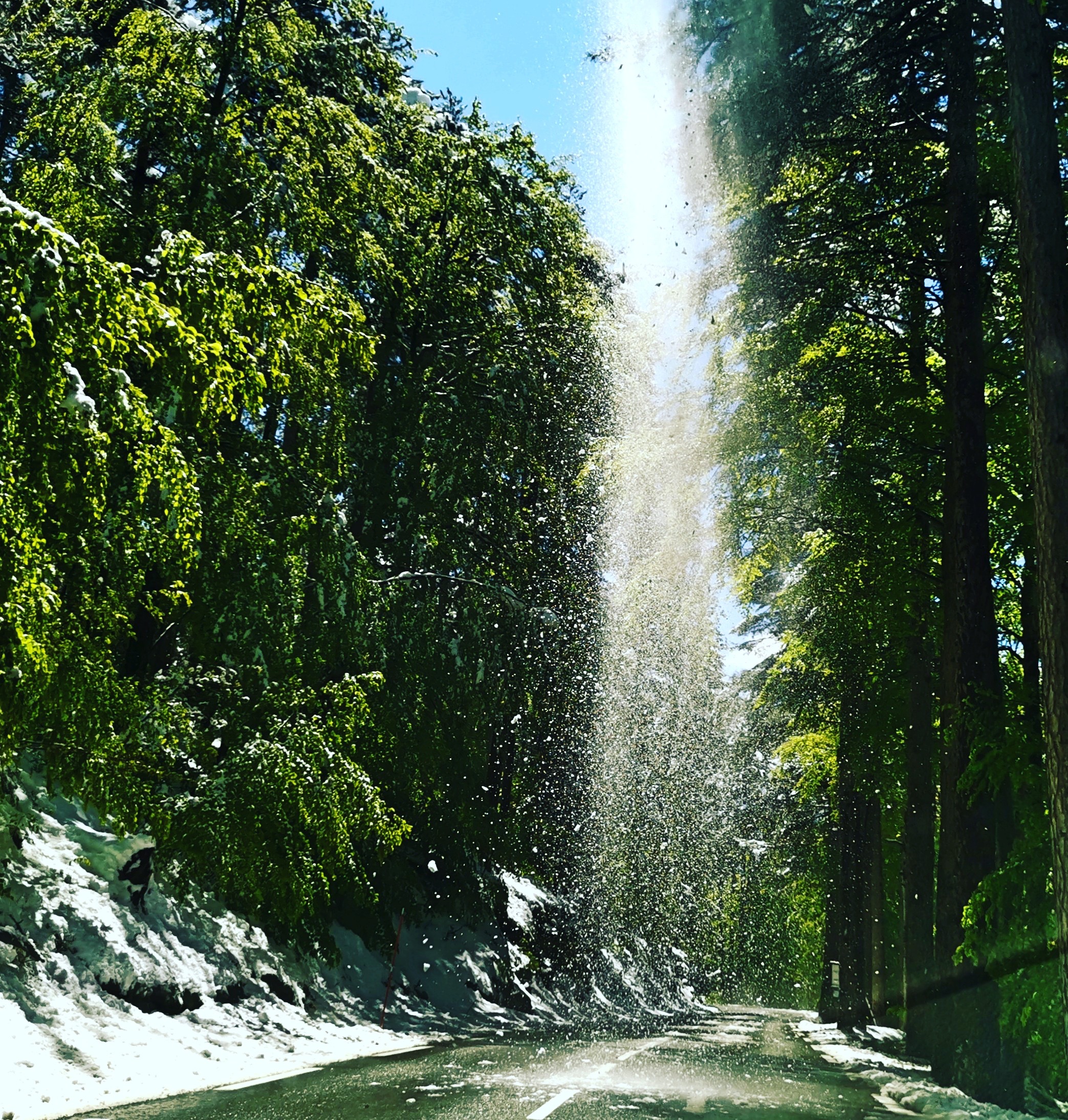 Photo Olivier Perrini