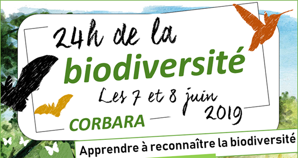 Les 7 et 8 juin Corbara célèbre les 24H de la Biodiversité