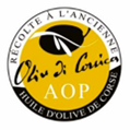 Concours régional des huiles d’olive de Corse en AOP- Oliu di Corsica  le 4 juin à Corte