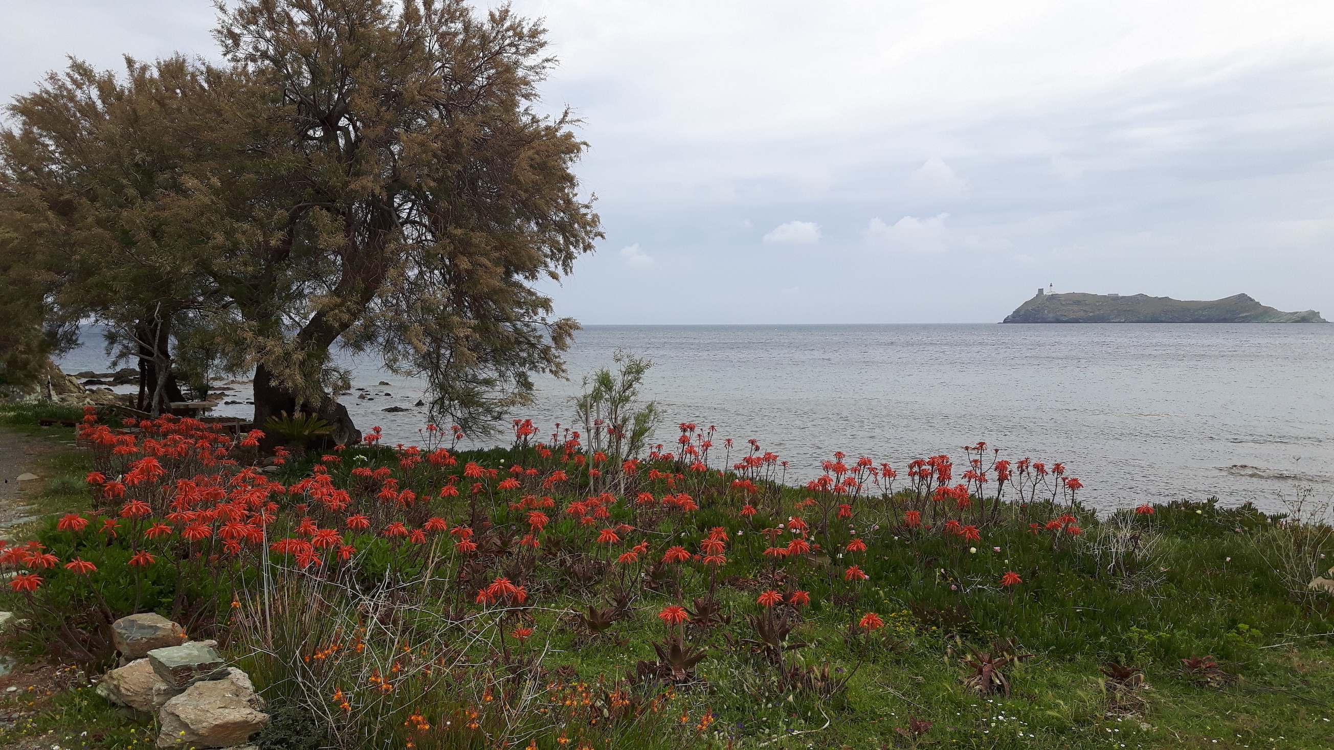 La photo du jour : l'îlot de la Giraglia