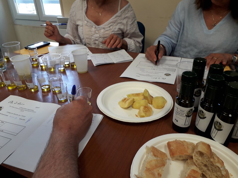 Les lauréats du XIe concours régional des huiles d'olive de Corse en AOP désignés à Corte