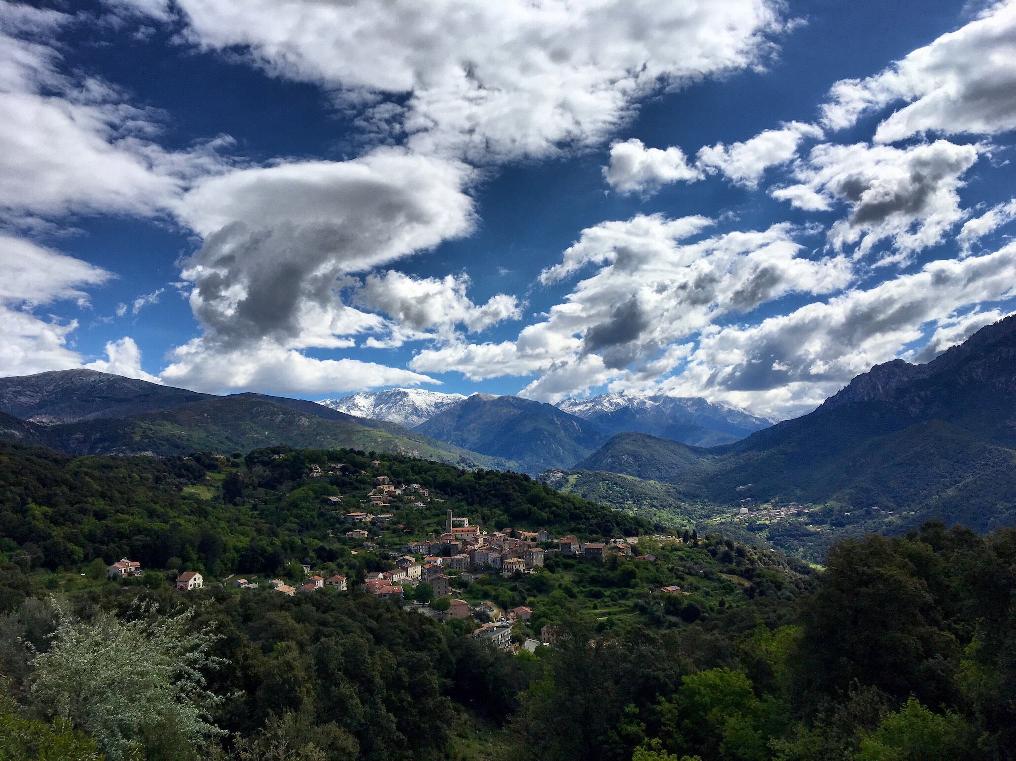 Vico (Christophe Hornecker)