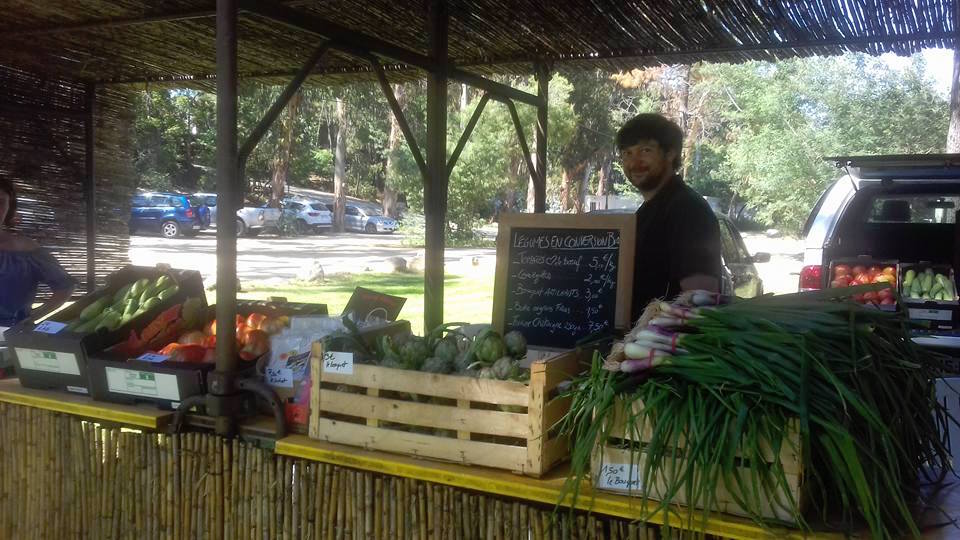 U Marcatu à Ghisonaccia :  Quand tourisme et agriculture choisissent d’être complémentaires