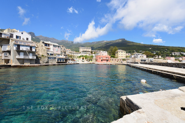 Erbalunga (The fox pictures)