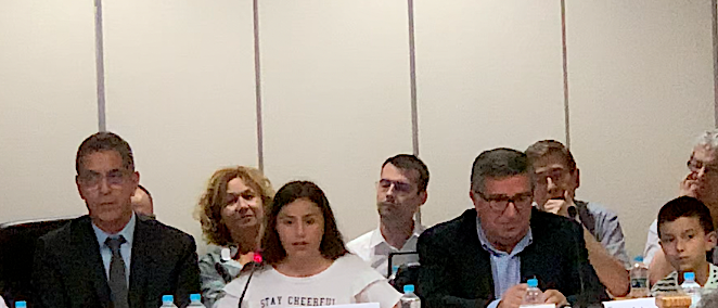 Bastia : Les projets du cunsigliu municipale di i zitelli