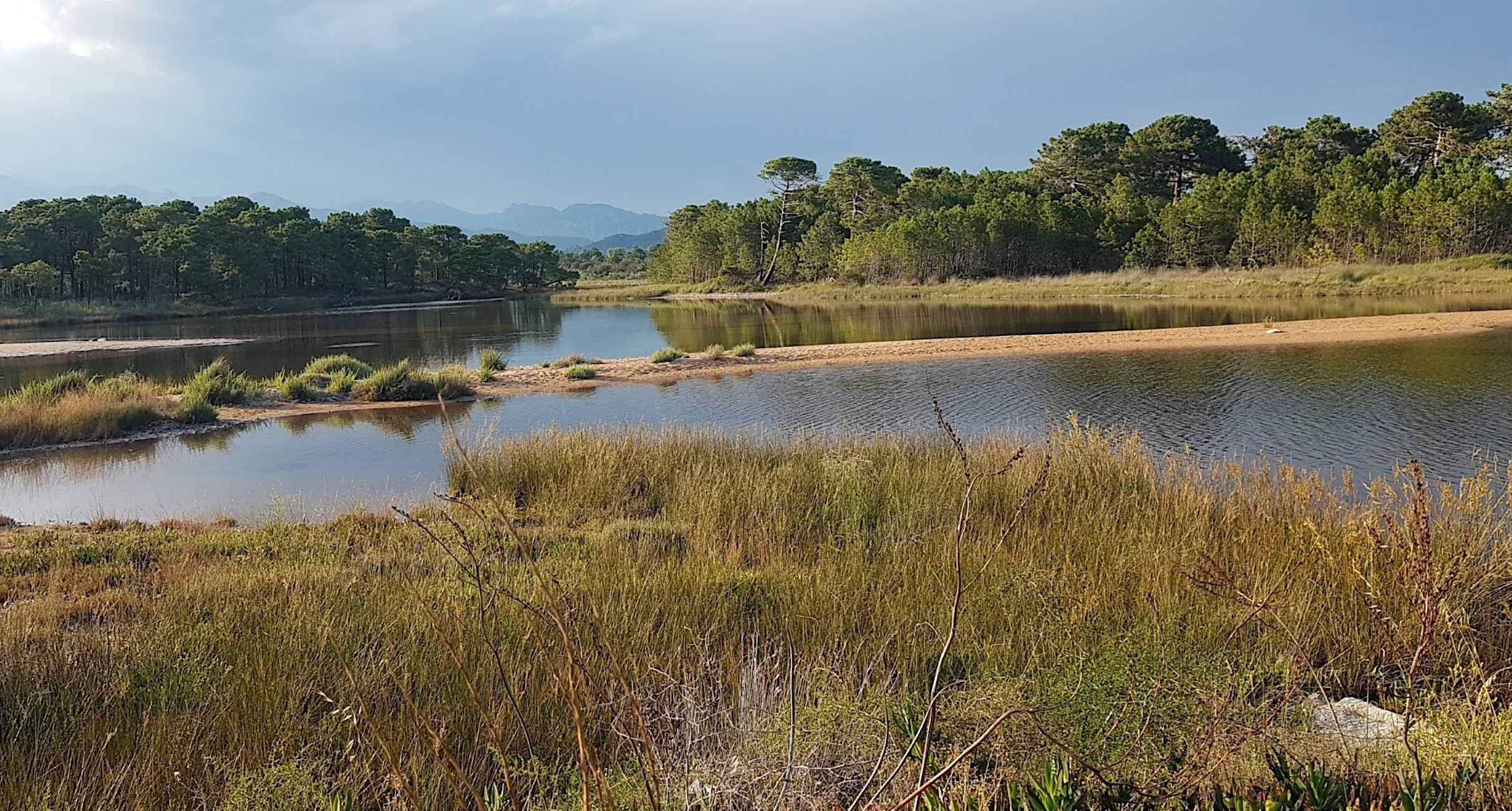 Etang du Benedettu (A. Camus)
