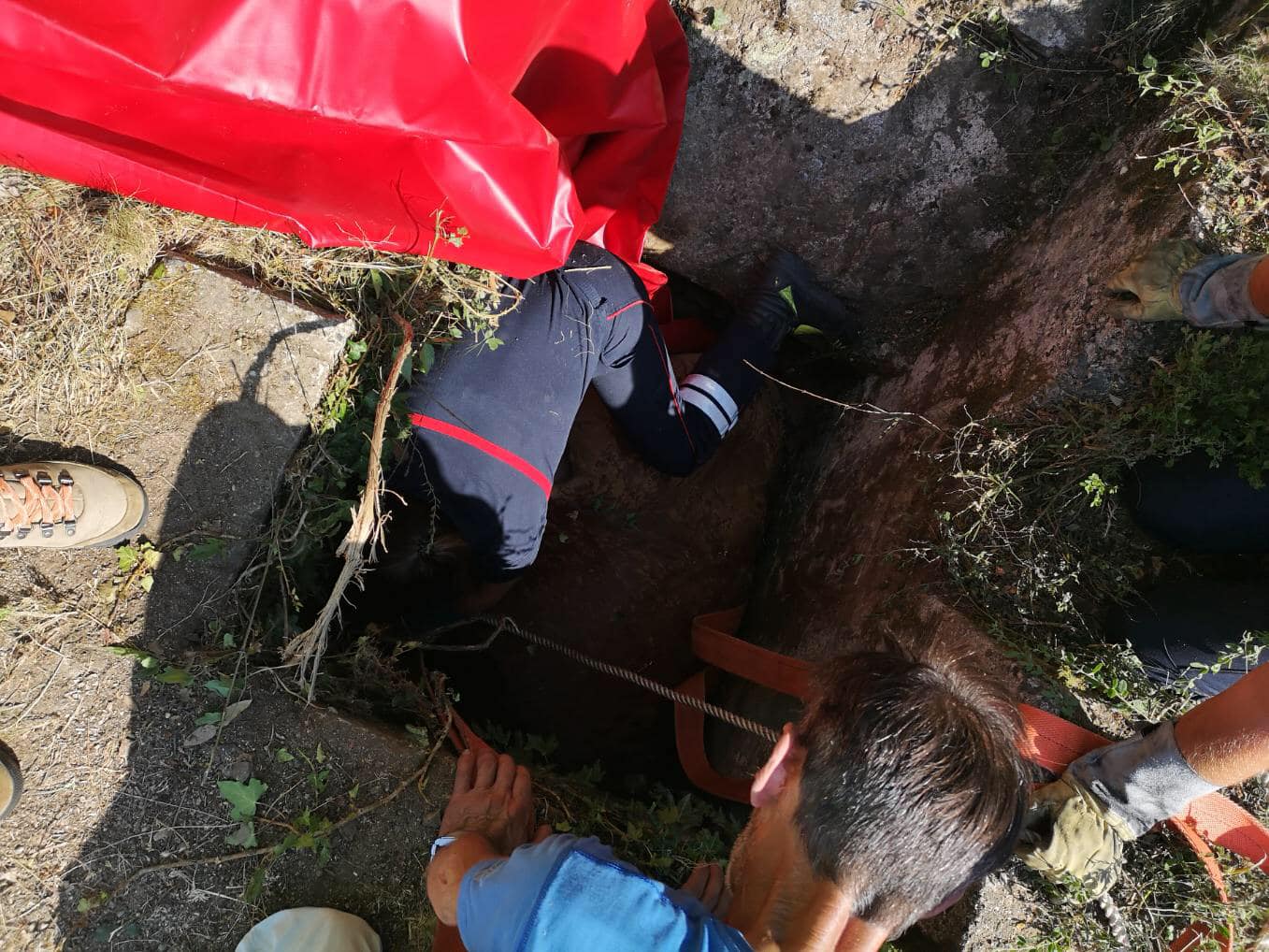 Ospedale : Les pompiers et les services municipaux de Porto-Vecchio au secours d’une vache