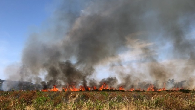 Calenzana : 15 hectares détruits par les flammes