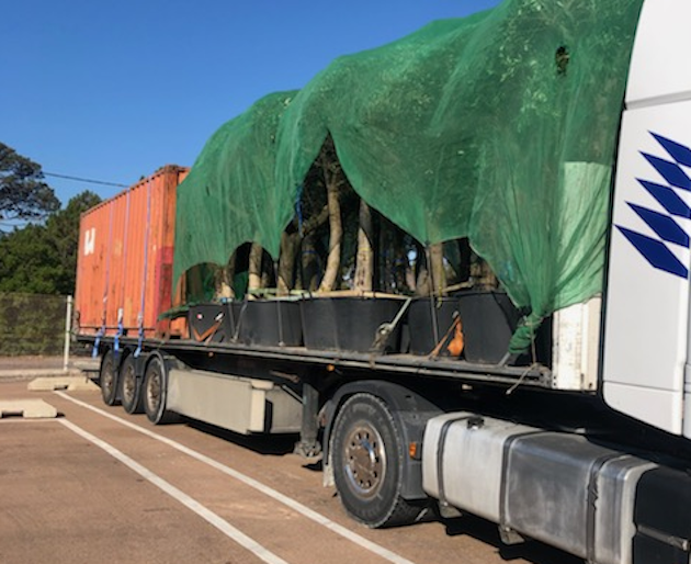 @Préfecture de Corse et de Corse-du-Sud