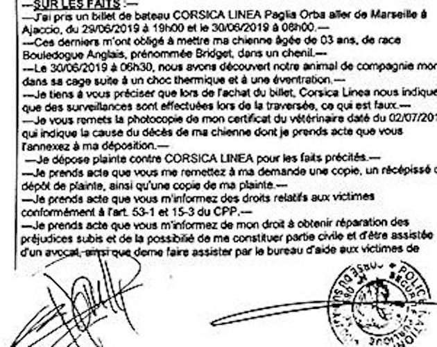  Un chien meurt entre Marseille et Ajaccio : plainte contre Corsica Linea