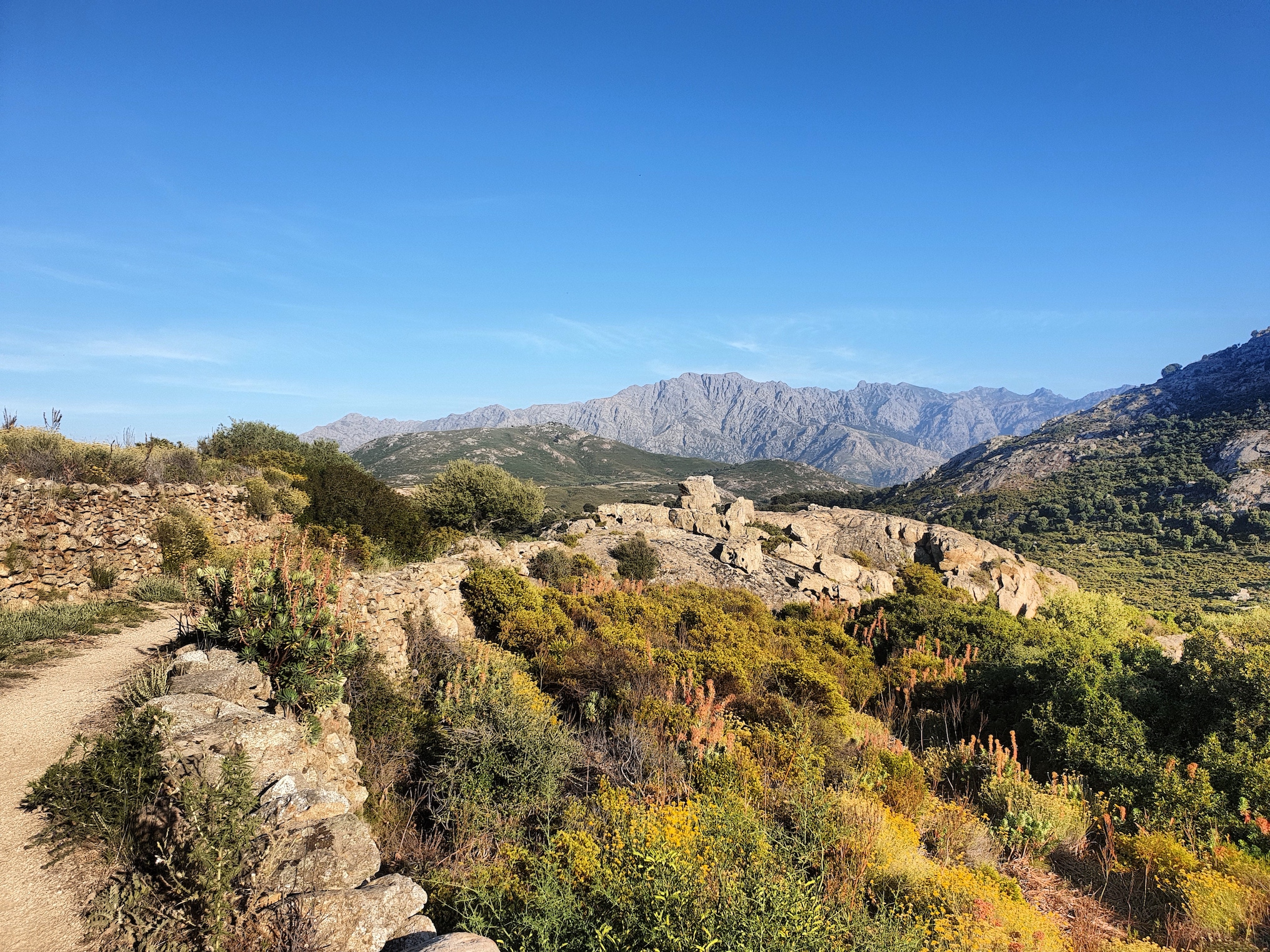 Le Montegrossu sur les sentiers du village abandonné de Occi près de Lumio (Eric Frulani)