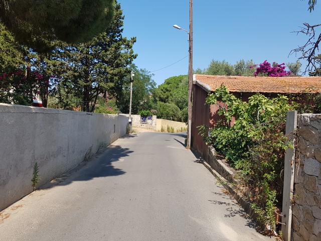 Calvi: les crapauds coassent et les voisins se prennent le bec !