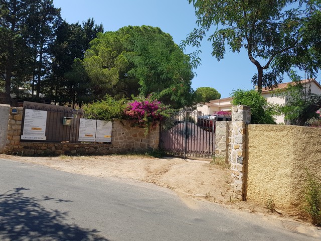 Calvi: les crapauds coassent et les voisins se prennent le bec !