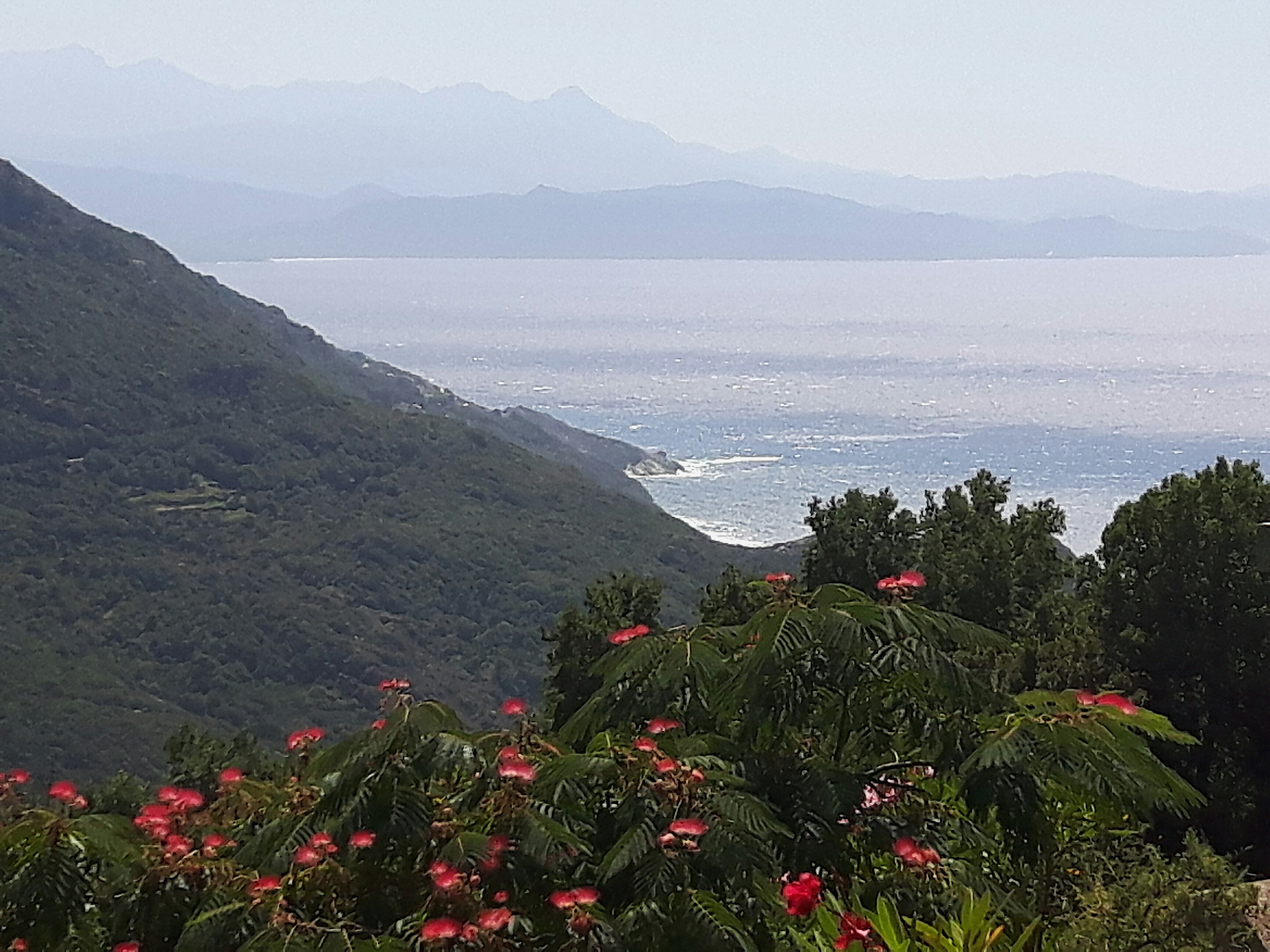 Le golfe de Saint Florent vu depuis Barrettali (Gérard Audoin)