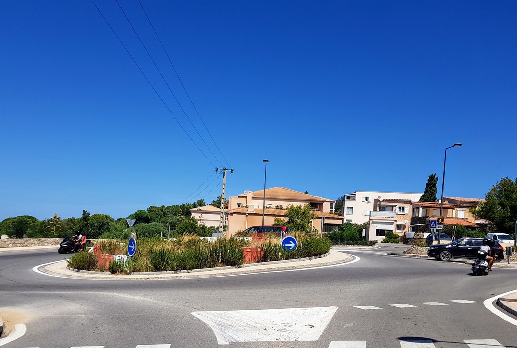 Les insolites de l'été