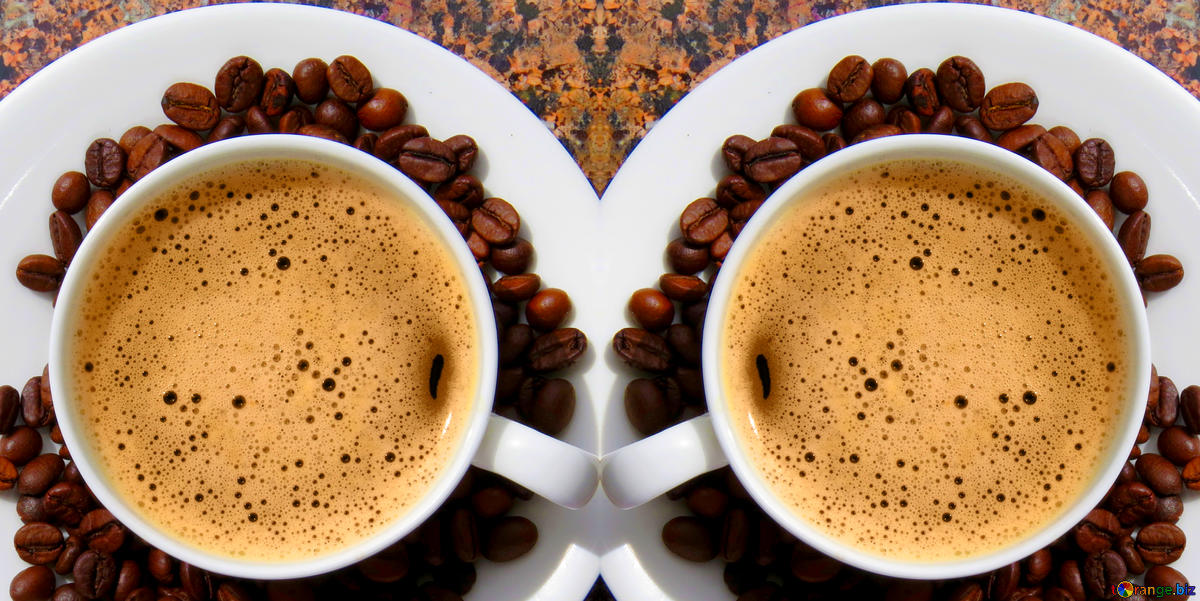 Porto Vecchio : Le Café des aidants fait sa rentrée ce 19 septembre