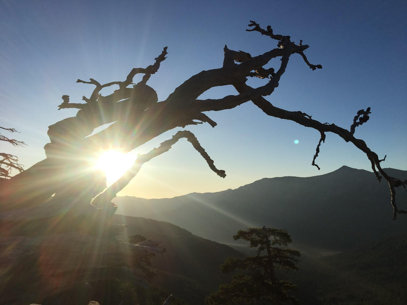 Bergeries de radule (Anghjulu-Santu Luciani)