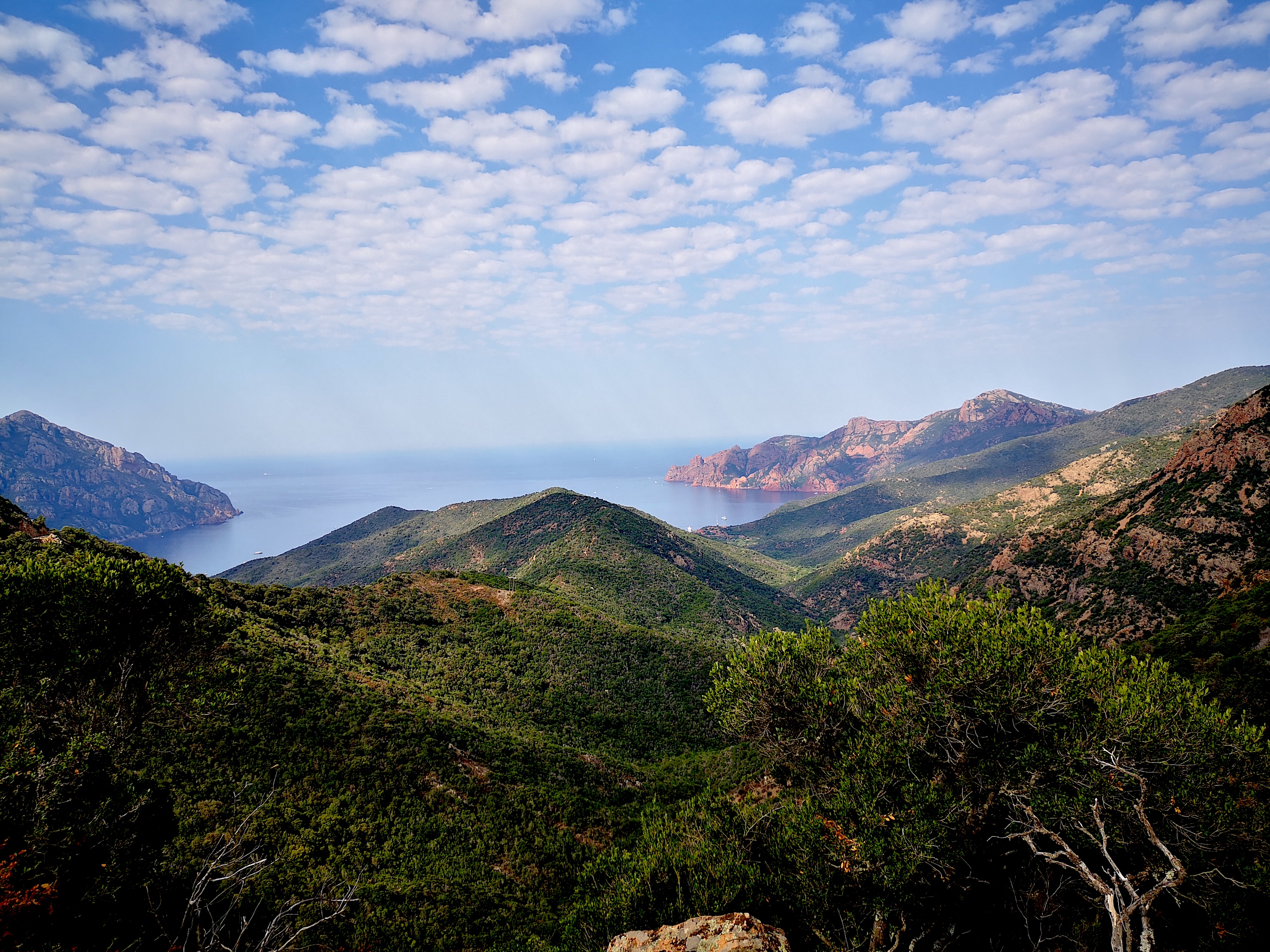 Le golfe de Girolata vu depuis le sentier du facteur (Thierry Dussoyer)