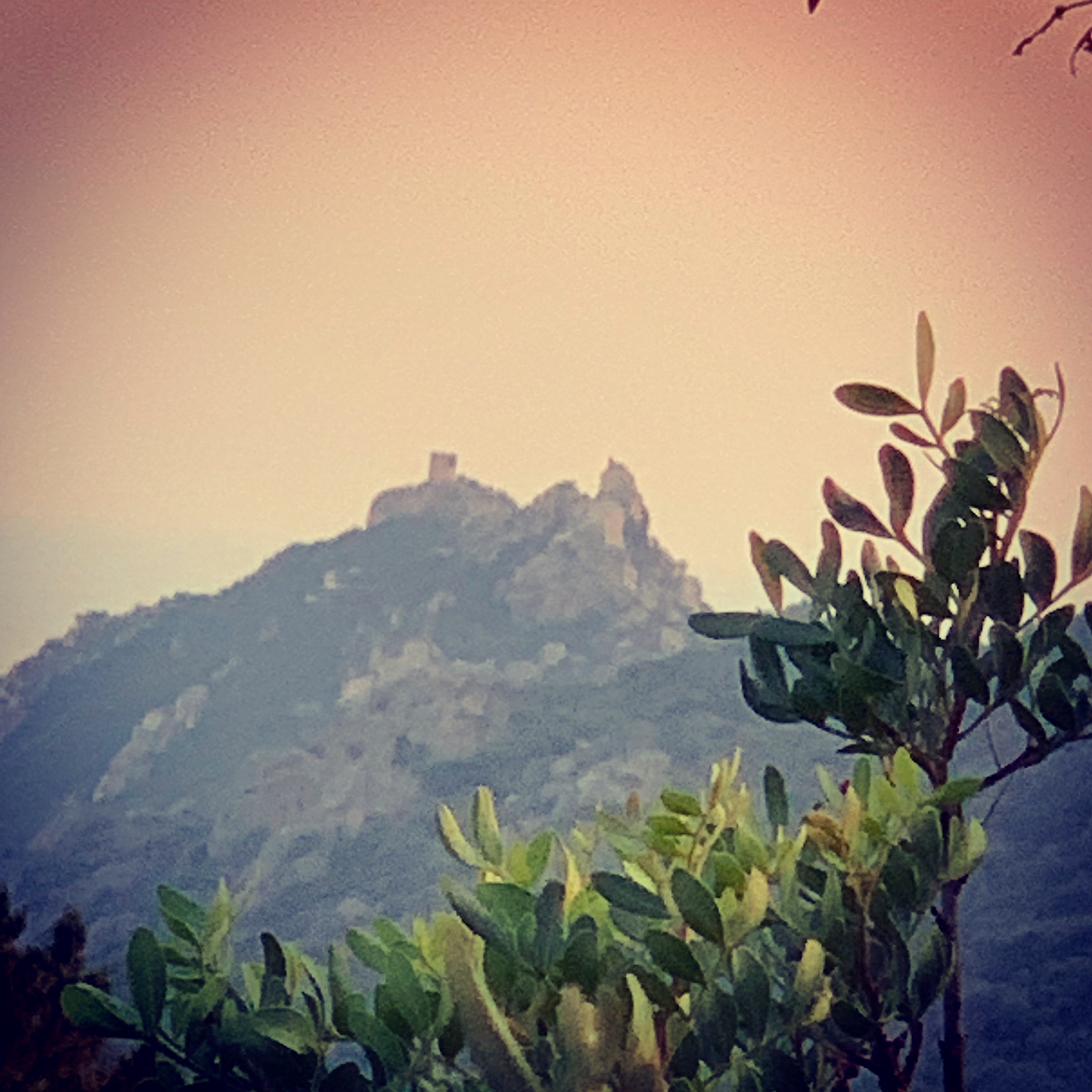 La photo du jour : la tour et le lion de Roccapina