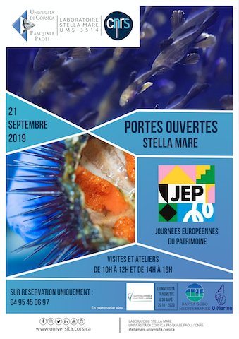  Pour les journées Européennes du patrimoine Stella Mare vous ouvre ses portes 