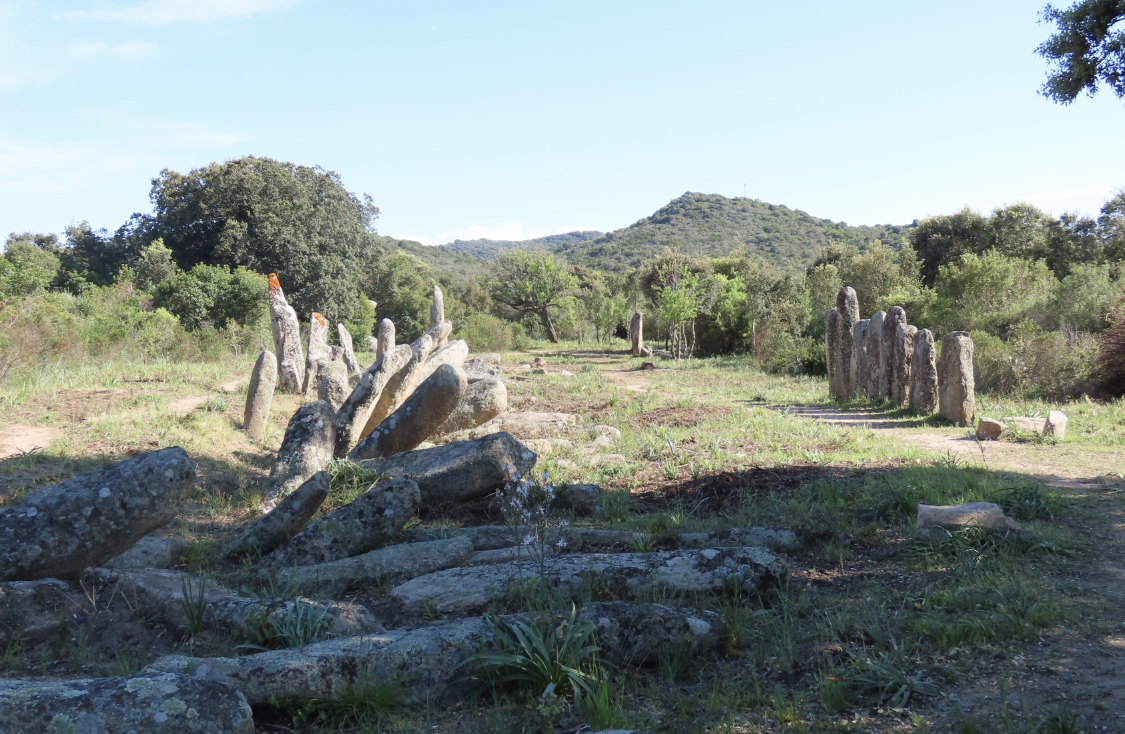 Photo Marié Thé Giacomi