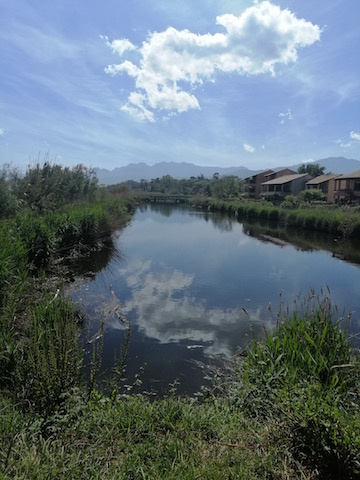 Photo Olivier Parisse