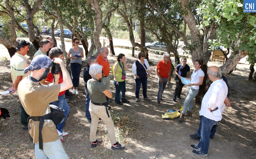 photo : Michel Luccioni