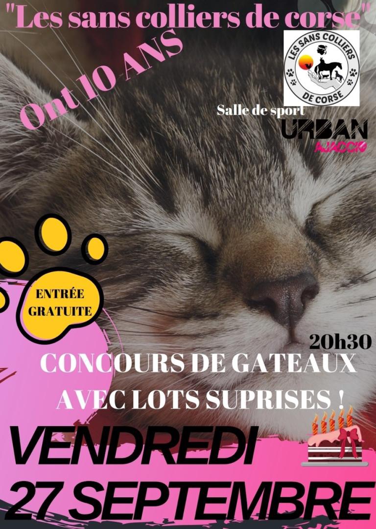 Ajaccio : Les Sans Collier fêtent leurs 10 ans ce vendredi